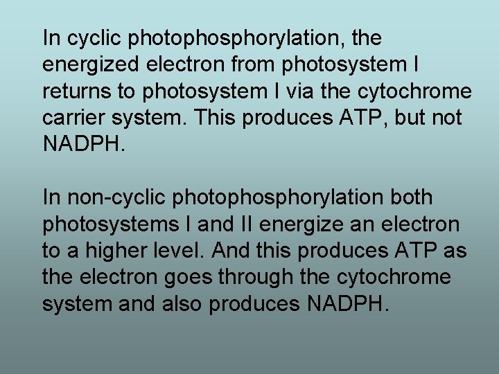 In cyclic photophosphorylation, the energized electron from photosystem I returns to photosystem I via