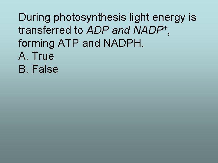 During photosynthesis light energy is transferred to ADP and NADP+, forming ATP and NADPH.