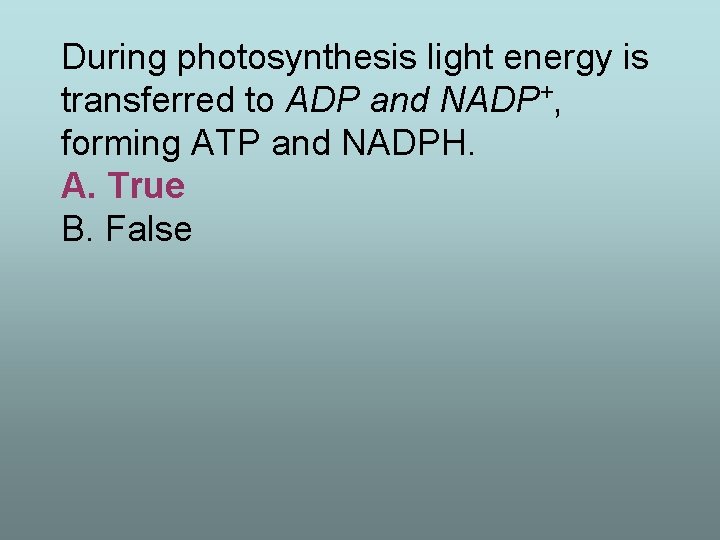 During photosynthesis light energy is transferred to ADP and NADP+, forming ATP and NADPH.
