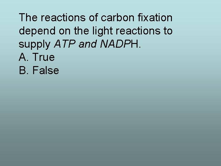 The reactions of carbon fixation depend on the light reactions to supply ATP and