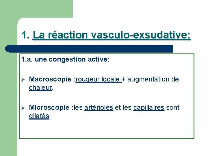1. La réaction vasculo-exsudative: 1. a. une congestion active: Ø Macroscopie : rougeur locale