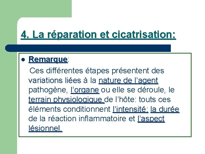 4. La réparation et cicatrisation: Remarque Ces différentes étapes présentent des variations liées à