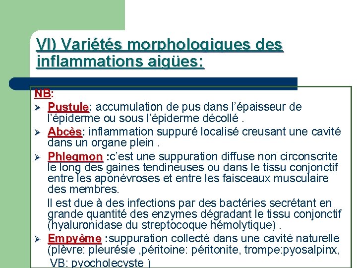 VI) Variétés morphologiques des inflammations aigües: NB: Ø Pustule: Pustule accumulation de pus dans