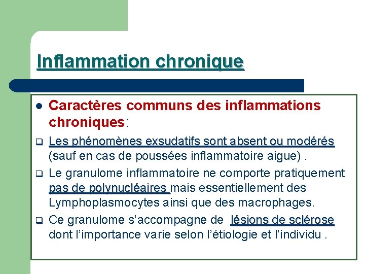 Inflammation chronique l Caractères communs des inflammations chroniques: q Les phénomènes exsudatifs sont absent