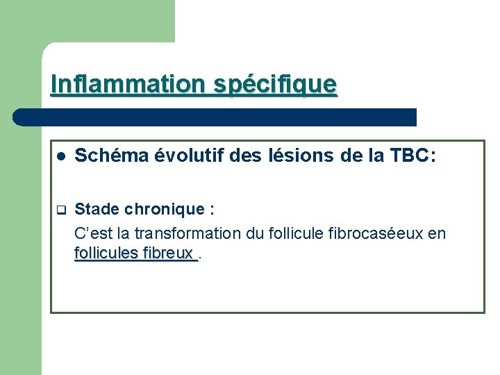 Inflammation spécifique l Schéma évolutif des lésions de la TBC: Stade chronique : C’est