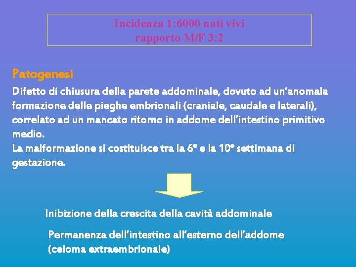 Incidenza 1: 6000 nati vivi rapporto M/F 3: 2 Patogenesi Difetto di chiusura della