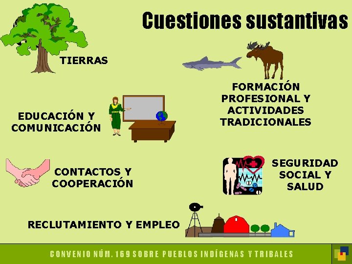 Cuestiones sustantivas TIERRAS EDUCACIÓN Y COMUNICACIÓN CONTACTOS Y COOPERACIÓN FORMACIÓN PROFESIONAL Y ACTIVIDADES TRADICIONALES