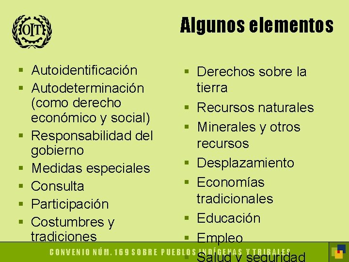 Algunos elementos § Autoidentificación § Autodeterminación (como derecho económico y social) § Responsabilidad del