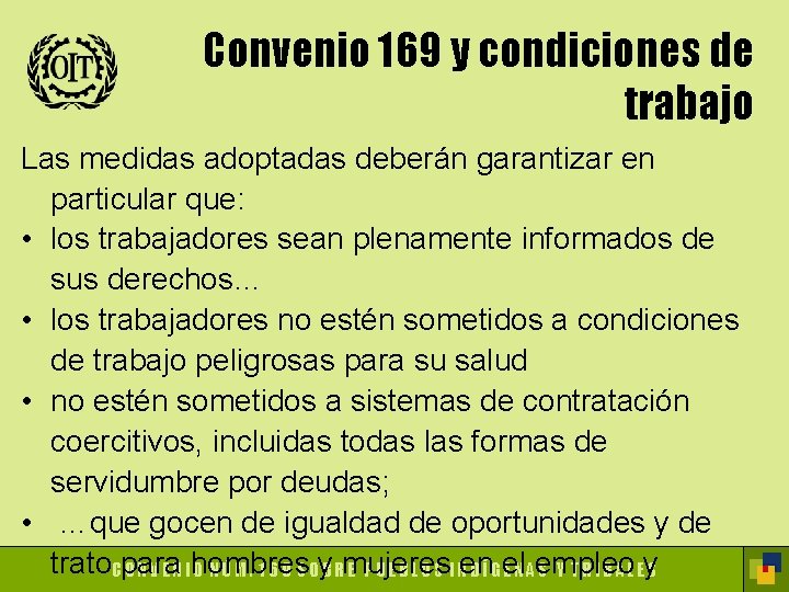 Convenio 169 y condiciones de trabajo Las medidas adoptadas deberán garantizar en particular que:
