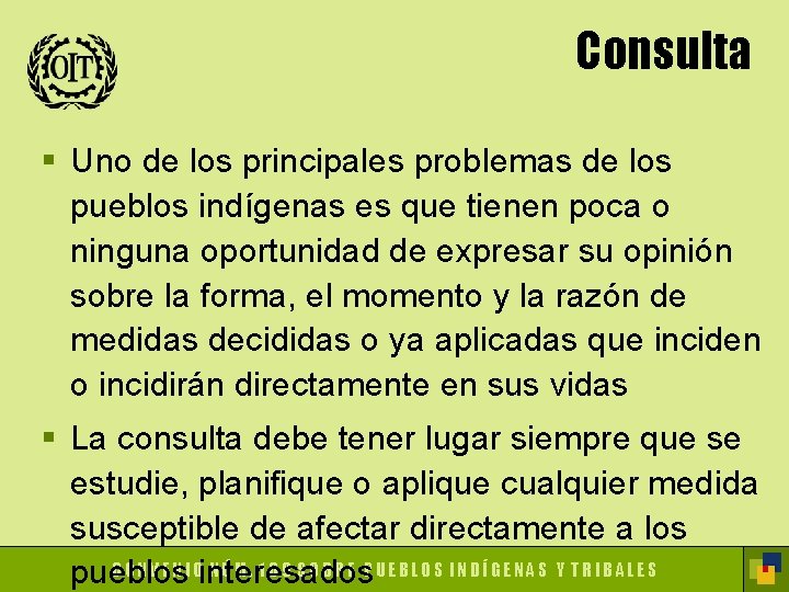 Consulta § Uno de los principales problemas de los pueblos indígenas es que tienen