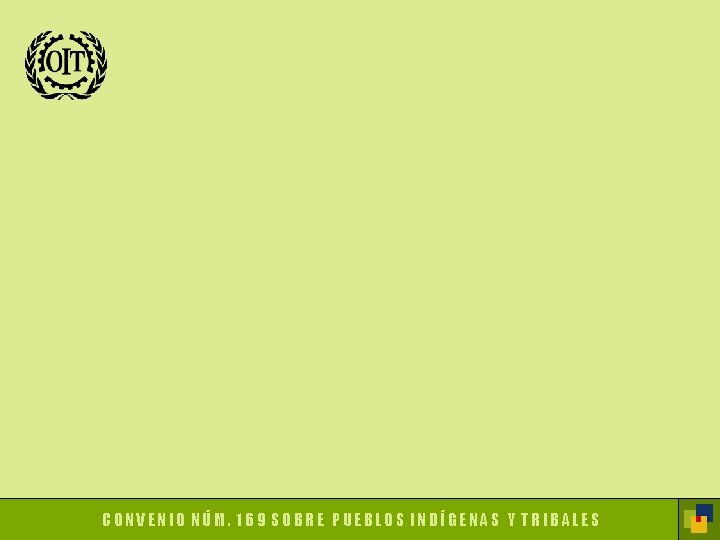 CONVENIO NÚM. 169 SOBRE PUEBLOS INDÍGENAS Y TRIBALES 