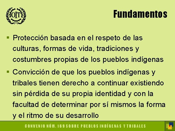 Fundamentos § Protección basada en el respeto de las culturas, formas de vida, tradiciones
