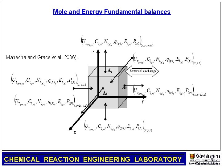 Mole and Energy Fundamental balances Mahecha and Grace et al. 2006). CHEMICAL REACTION ENGINEERING