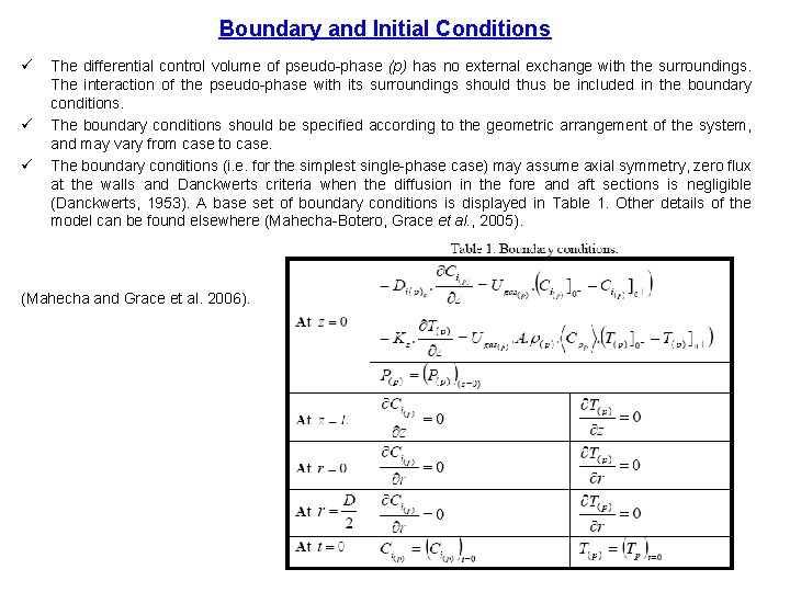 Boundary and Initial Conditions ü ü ü The differential control volume of pseudo-phase (p)