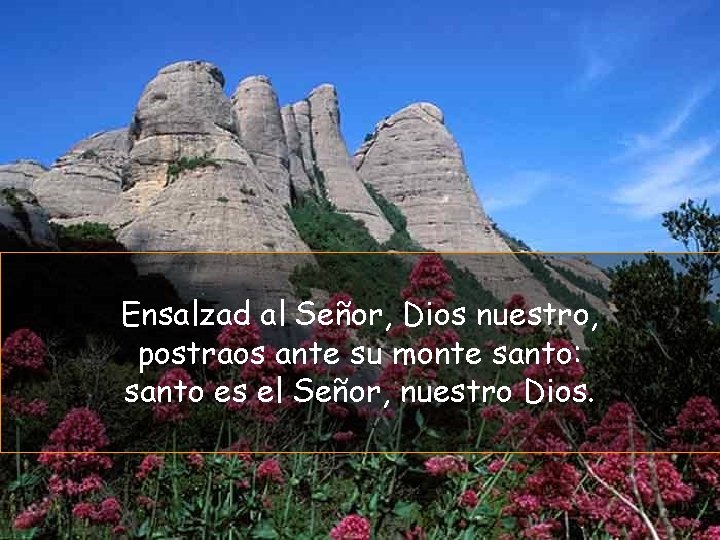 Ensalzad al Señor, Dios nuestro, postraos ante su monte santo: santo es el Señor,