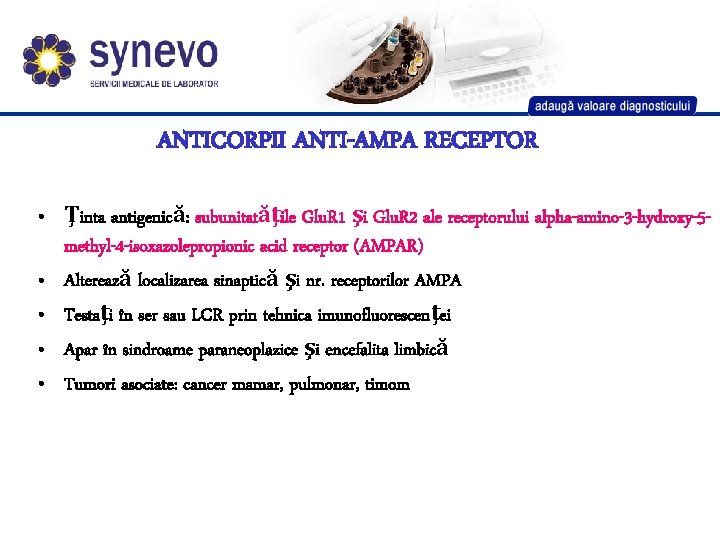 ANTICORPII ANTI-AMPA RECEPTOR • Ţinta antigenică: subunitatăţile Glu. R 1 şi Glu. R 2 ANTICORPII ANTI-AMPA RECEPTOR • Ţinta antigenică: subunitatăţile Glu. R 1 şi Glu. R 2