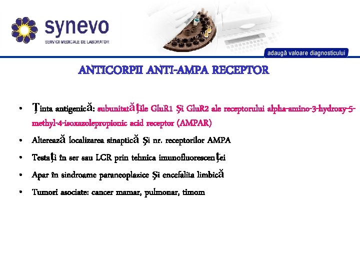 ANTICORPII ANTI-AMPA RECEPTOR • Ţinta antigenică: subunitatăţile Glu. R 1 şi Glu. R 2