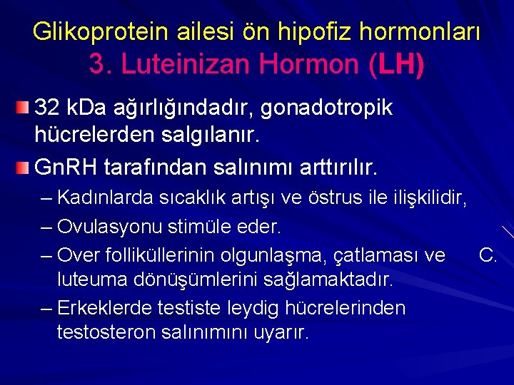 Glikoprotein ailesi ön hipofiz hormonları 3. Luteinizan Hormon (LH) ( 32 k. Da ağırlığındadır,