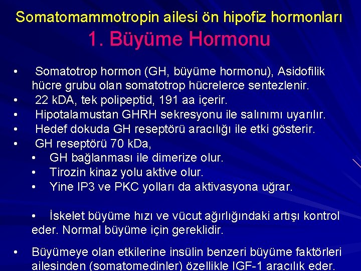 Somatomammotropin ailesi ön hipofiz hormonları 1. Büyüme Hormonu • • • Somatotrop hormon (GH,