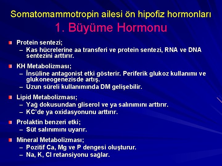 Somatomammotropin ailesi ön hipofiz hormonları 1. Büyüme Hormonu Protein sentezi; – Kas hücrelerine aa