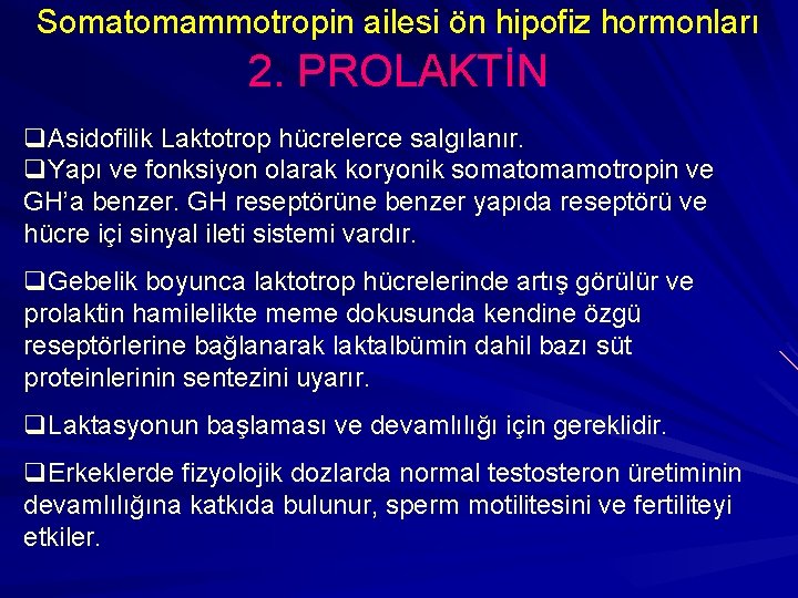Somatomammotropin ailesi ön hipofiz hormonları 2. PROLAKTİN q. Asidofilik Laktotrop hücrelerce salgılanır. q. Yapı