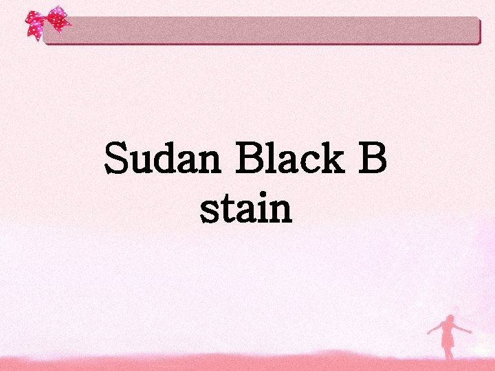 Sudan Black B stain Sudan Black B stain