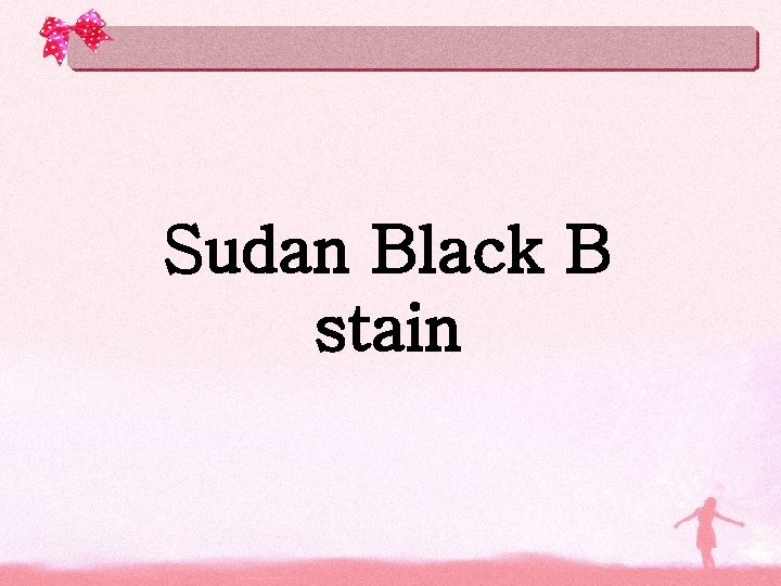 Sudan Black B stain 