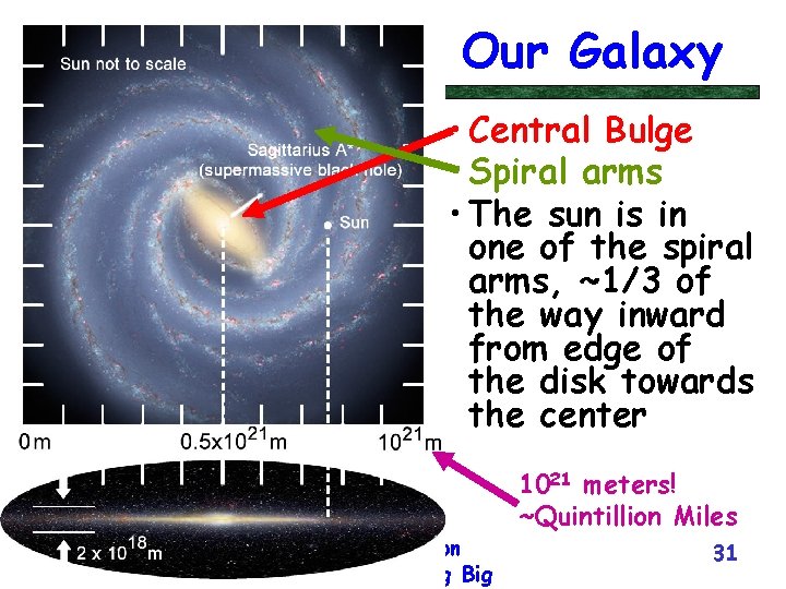 Our Galaxy • Central Bulge • Spiral arms • The sun is in one