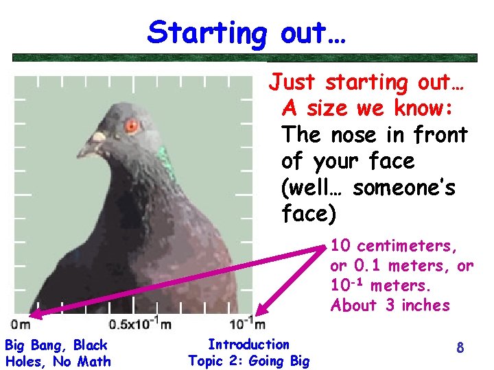 Starting out… Just starting out… A size we know: The nose in front of