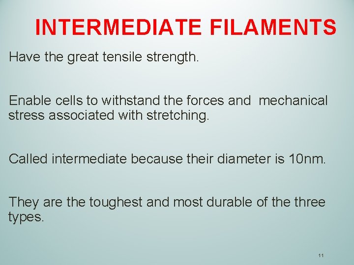 INTERMEDIATE FILAMENTS Have the great tensile strength. Enable cells to withstand the forces and