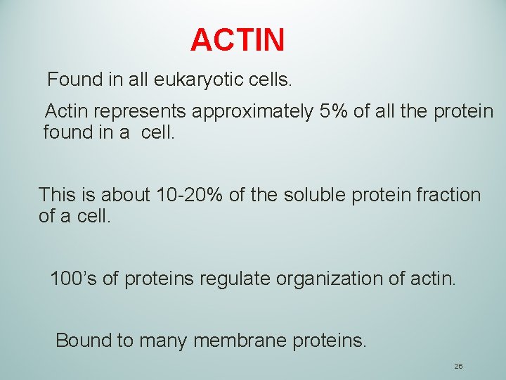 ACTIN Found in all eukaryotic cells. Actin represents approximately 5% of all the protein