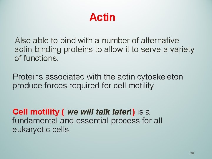 Actin Also able to bind with a number of alternative actin-binding proteins to allow