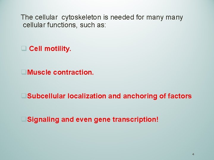 The cellular cytoskeleton is needed for many cellular functions, such as: q Cell motility.