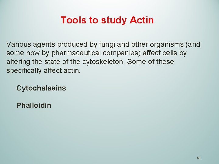 Tools to study Actin Various agents produced by fungi and other organisms (and, some