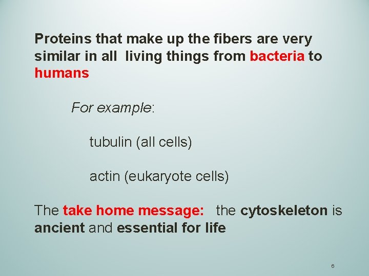 Proteins that make up the fibers are very similar in all living things from