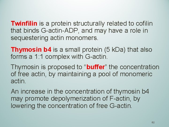 Twinfilin is a protein structurally related to cofilin that binds G-actin-ADP, and may have