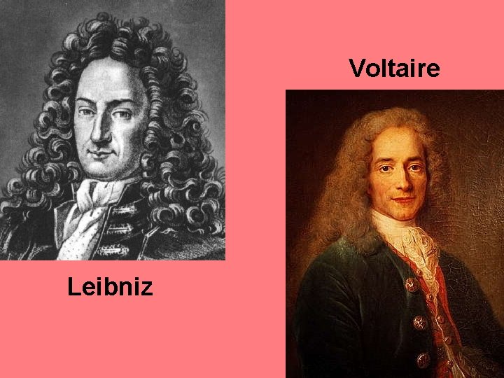 Voltaire Leibniz 