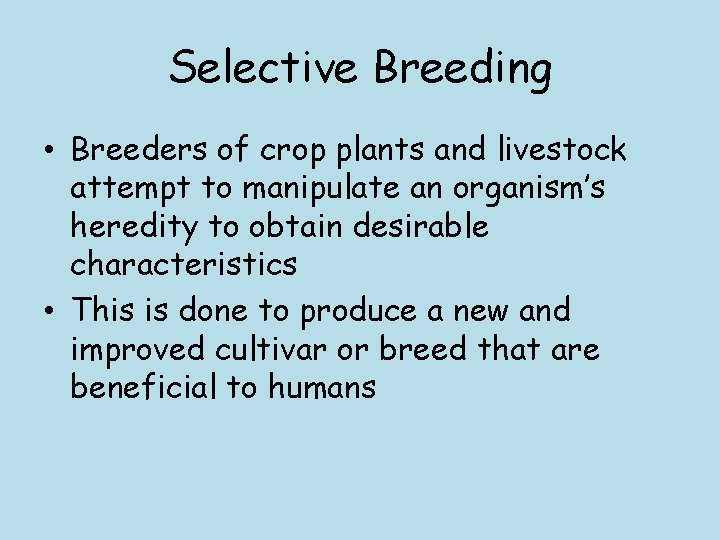 Selective Breeding • Breeders of crop plants and livestock attempt to manipulate an organism’s