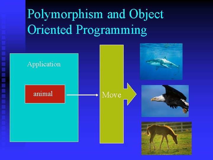Polymorphism and Object Oriented Programming Application animal Move 