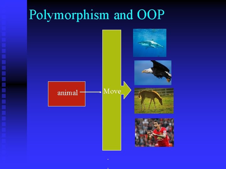 Polymorphism and OOP animal Move . . 