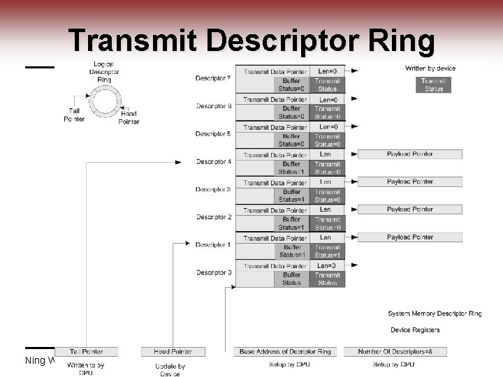 Transmit Descriptor Ring Ning Weng ECE 424 40 