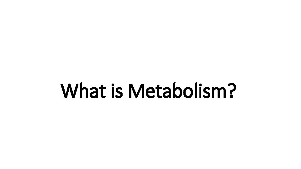 What is Metabolism? 