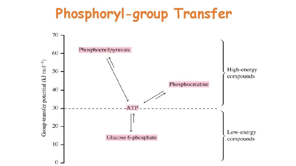 Phosphoryl-group Transfer 