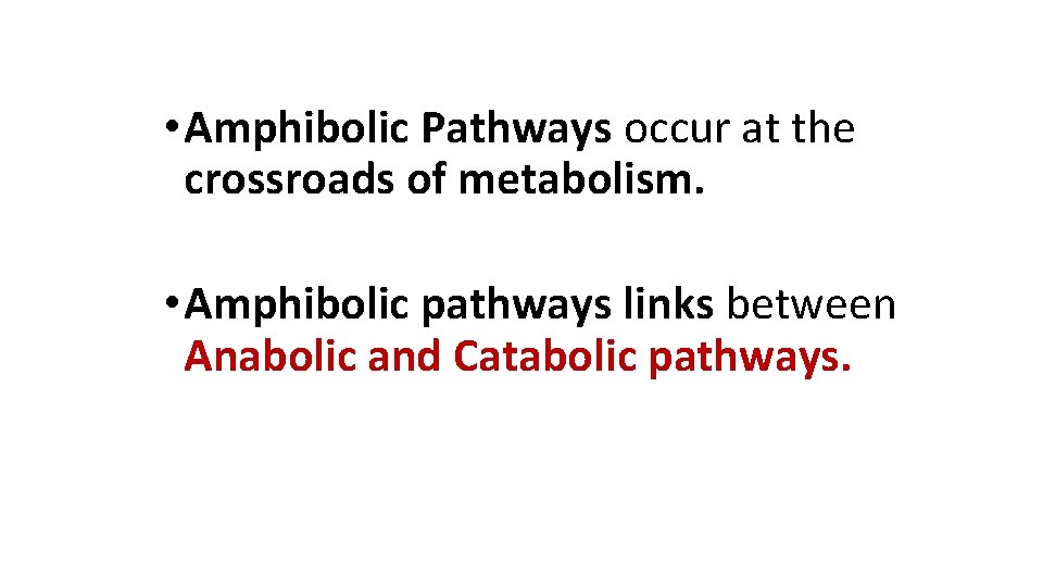  • Amphibolic Pathways occur at the crossroads of metabolism. • Amphibolic pathways links
