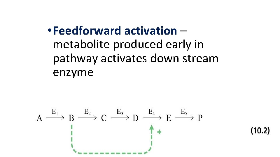  • Feedforward activation – metabolite produced early in pathway activates down stream enzyme