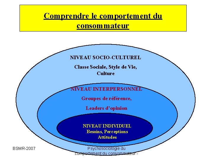 Comprendre le comportement du consommateur NIVEAU SOCIO-CULTUREL Classe Sociale, Style de Vie, Culture NIVEAU Comprendre le comportement du consommateur NIVEAU SOCIO-CULTUREL Classe Sociale, Style de Vie, Culture NIVEAU