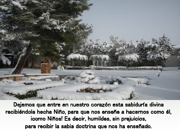 Dejemos que entre en nuestro corazón esta sabiduría divina recibiéndola hecha Niño, para que