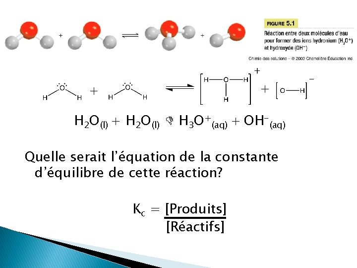 H 2 O(l) + H 2 O(l) H 3 O+(aq) + OH-(aq) Quelle serait