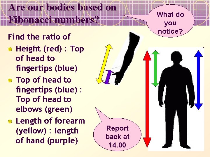 Are our bodies based on Fibonacci numbers? Find the ratio of Height (red) :