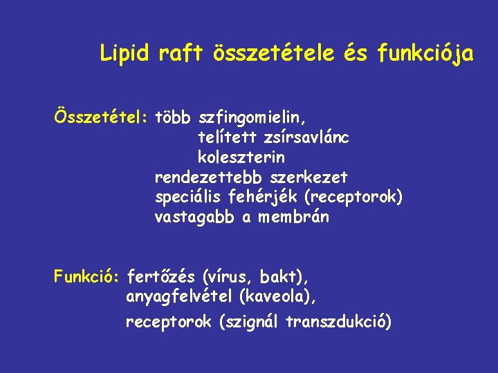 Lipid raft összetétele és funkciója Összetétel: több szfingomielin, telített zsírsavlánc koleszterin rendezettebb szerkezet speciális